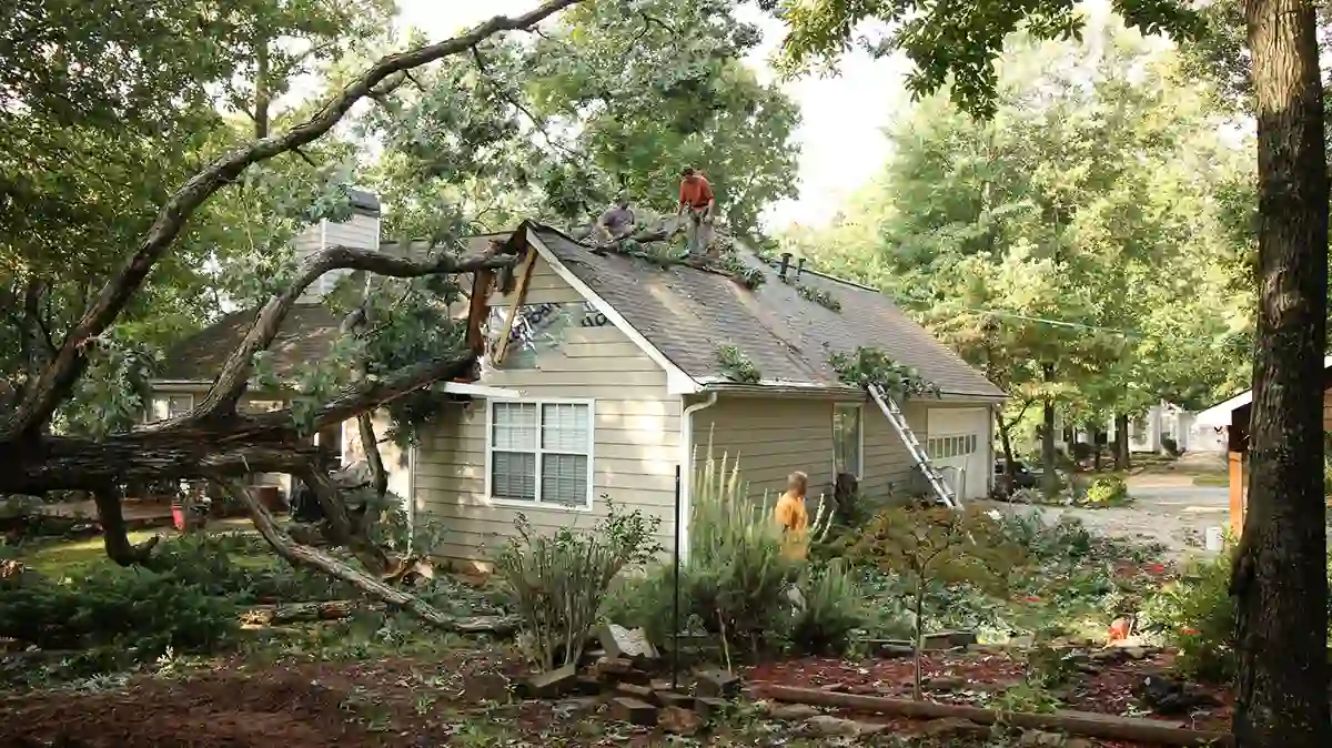 storm restoration services