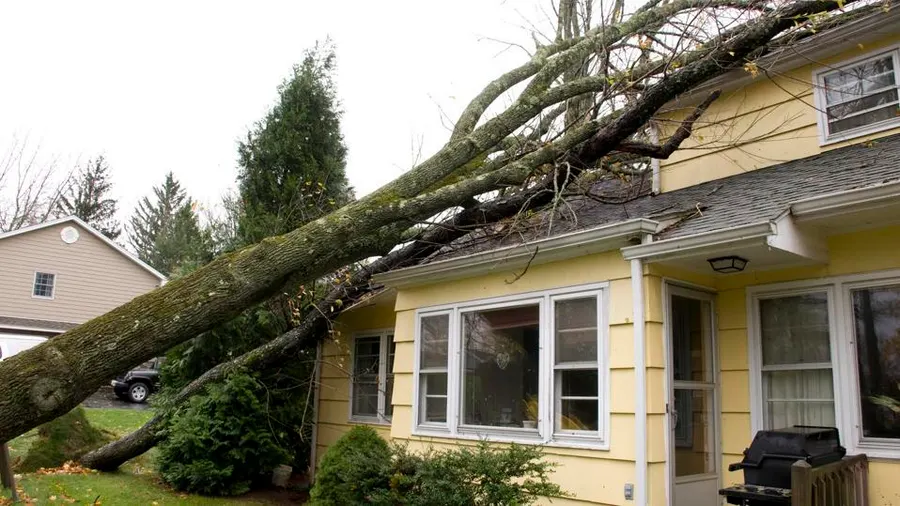 storm restoration services